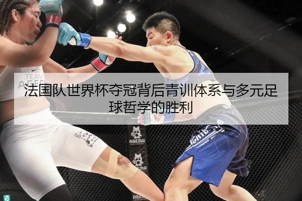 法国队世界杯夺冠背后青训体系与多元足球哲学的胜利